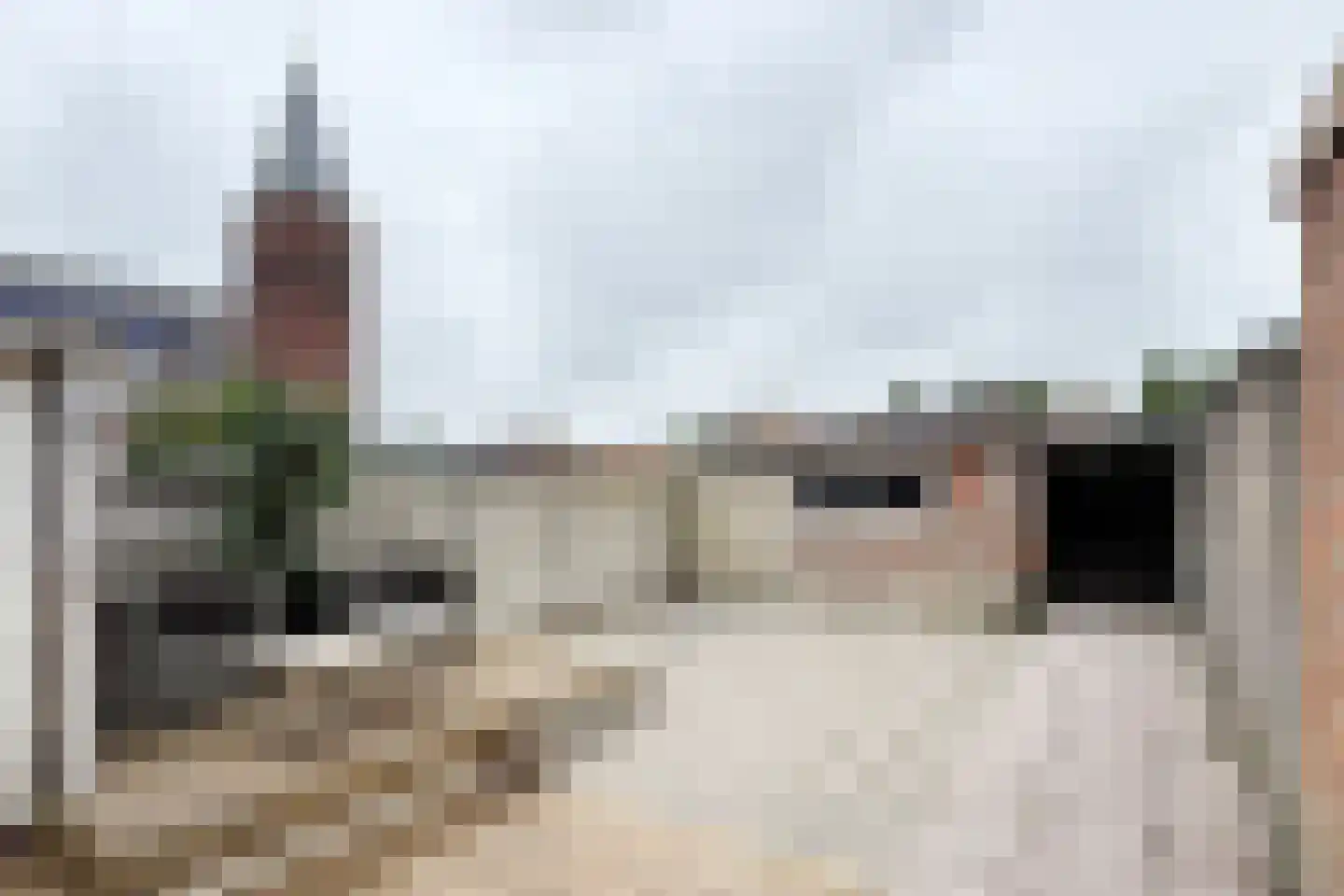Westerstraat 31 Dinteloord thumbnail 45