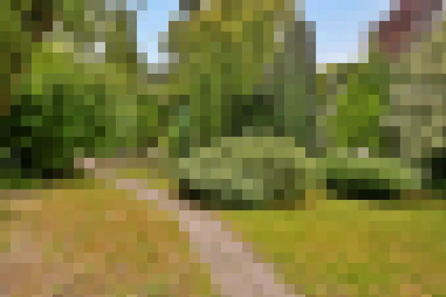 Westerstraat 31 Oudorp thumbnail 14
