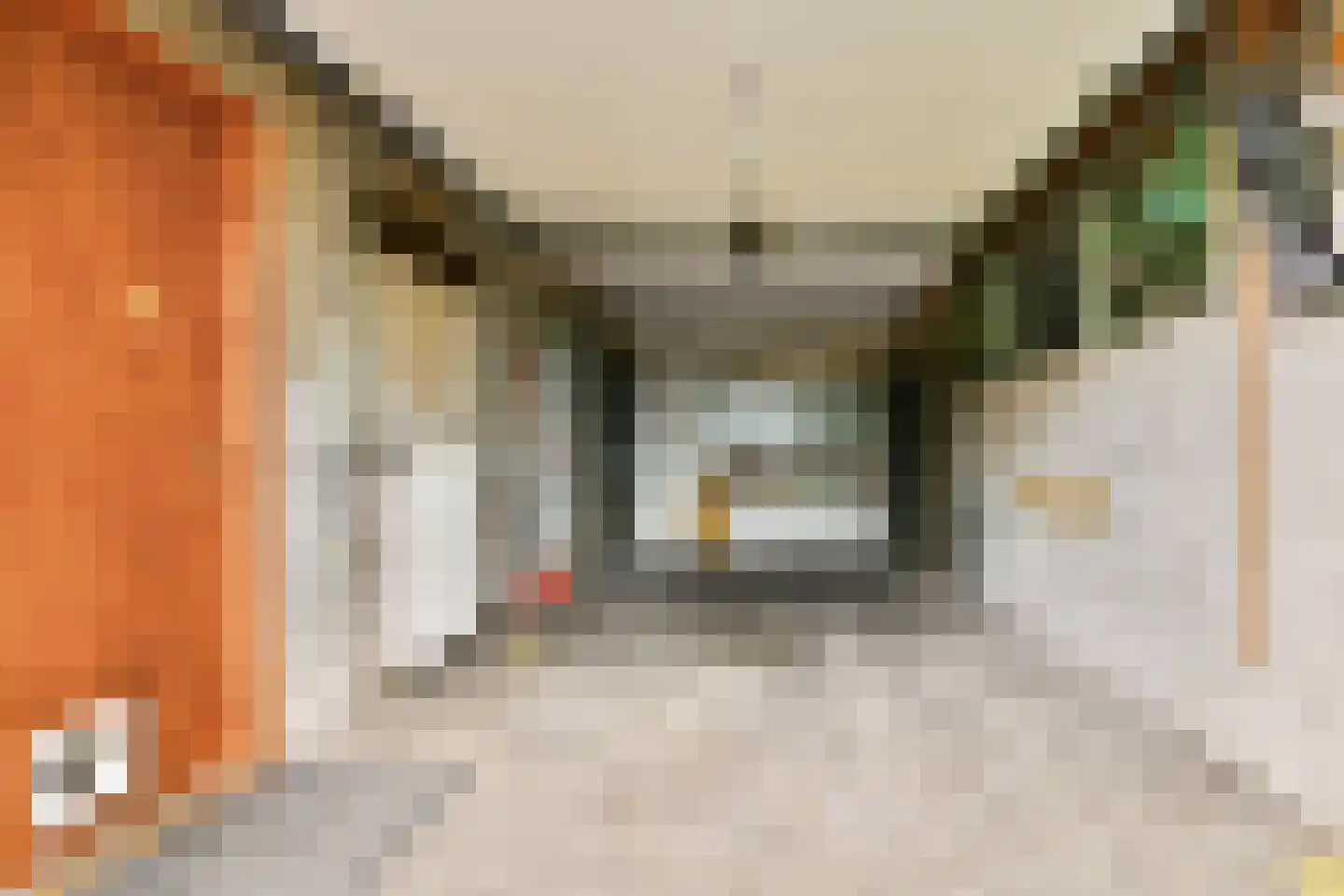 Westerstraat 31 Oudorp thumbnail 26
