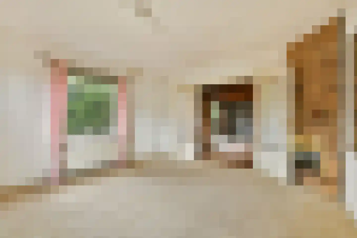 Westerstraat 31 Oudorp thumbnail 7