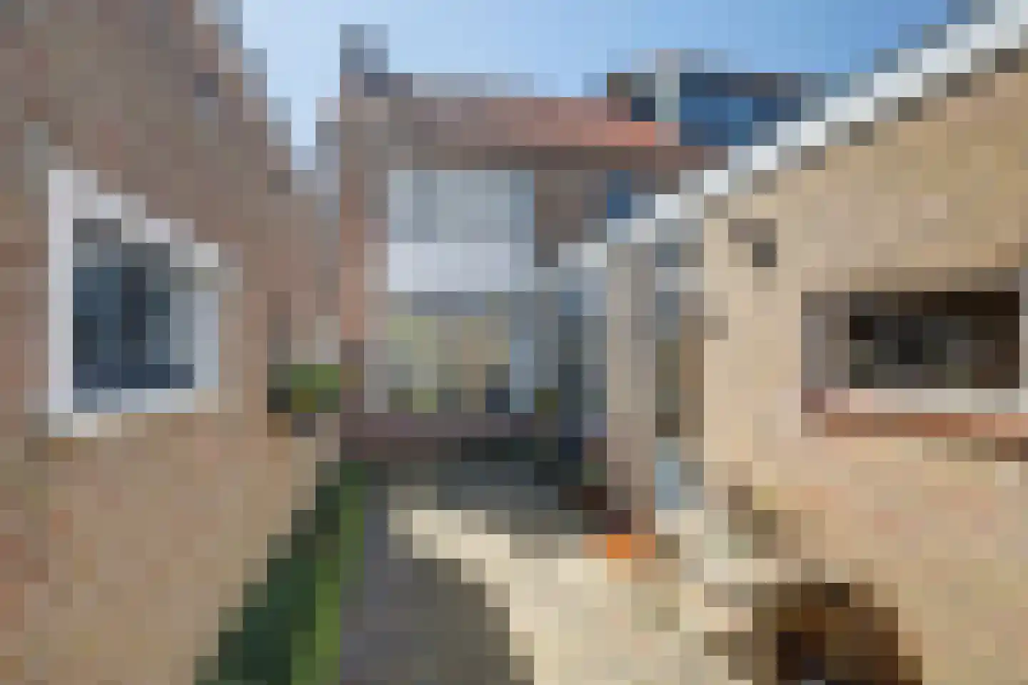 Westerstraat 32 Heinkenszand thumbnail 27