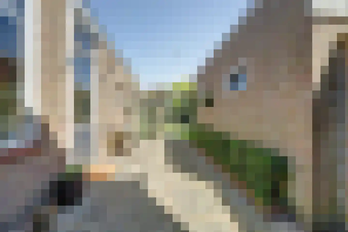 Westerstraat 32 Heinkenszand thumbnail 28