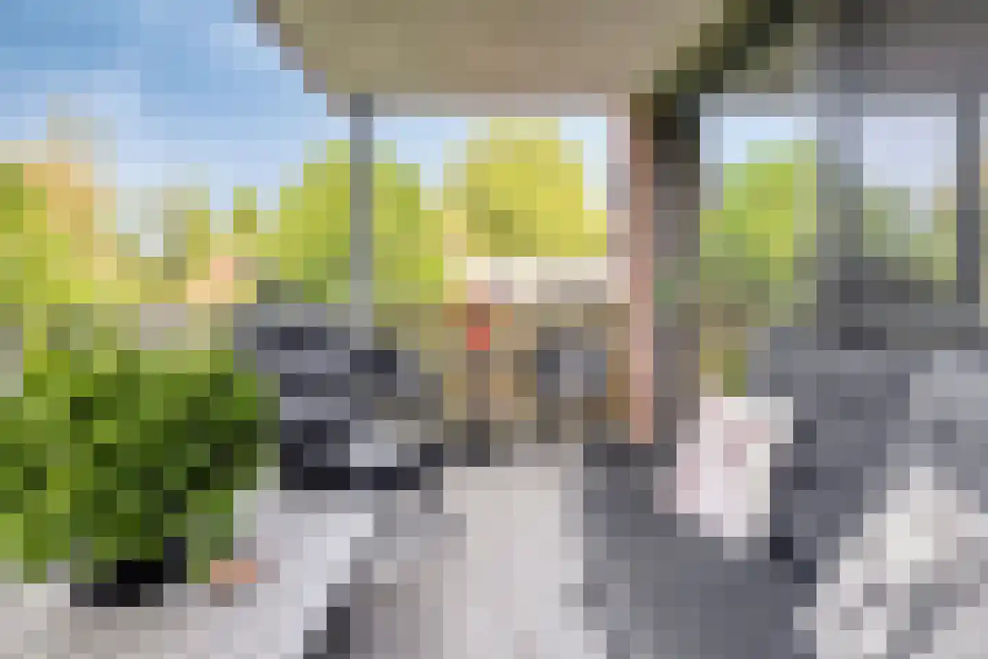 Westerstraat 4 m Huijbergen thumbnail 15