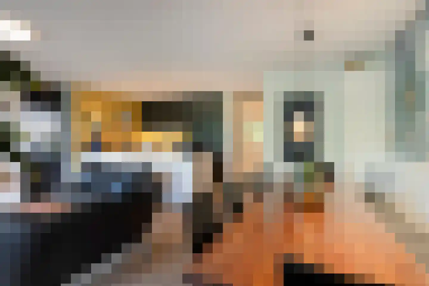 Westerstraat 4 m Huijbergen thumbnail 17