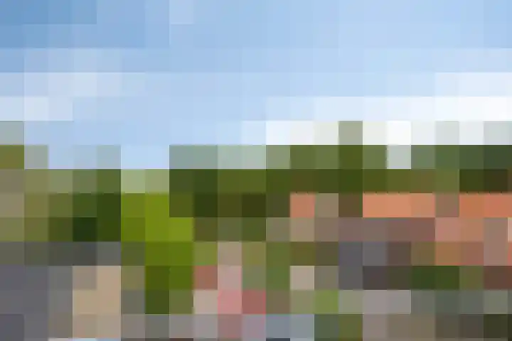 Westerstraat 4 n Huijbergen thumbnail 39