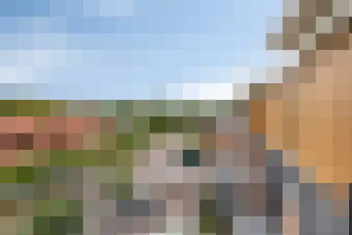 Westerstraat 4 n Huijbergen thumbnail 40