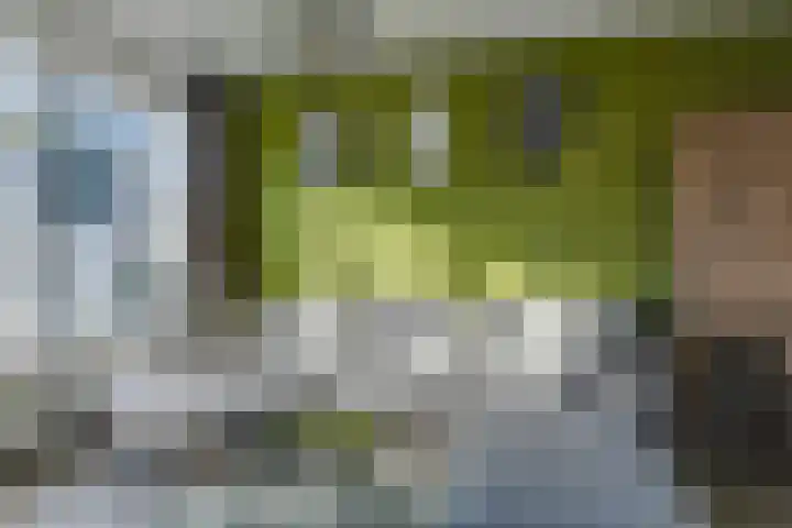 Westerstraat 4 Noord-Scharwoude thumbnail 6