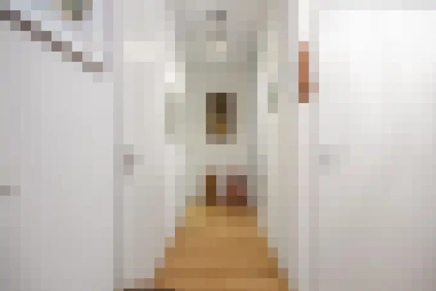 Westerstraat 4 Roden thumbnail 25