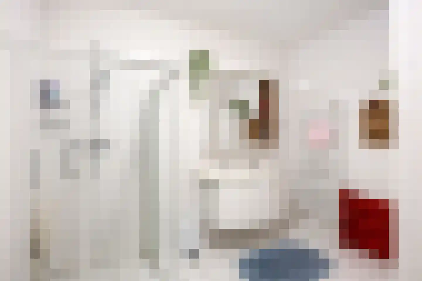 Westerstraat 4 Roden thumbnail 33