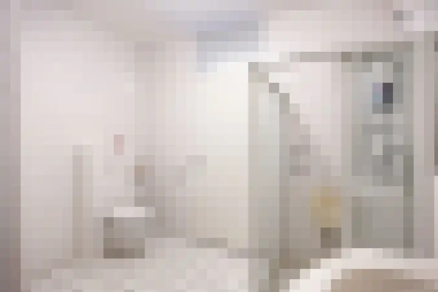Westerstraat 4 Roden thumbnail 35