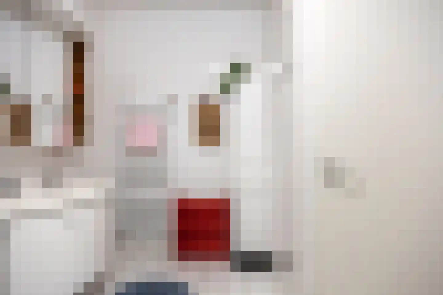Westerstraat 4 Roden thumbnail 38