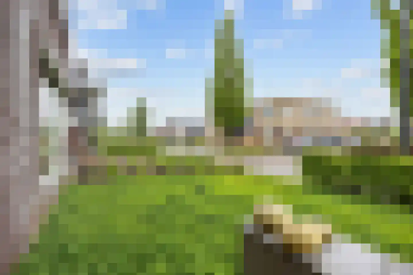 Westerstraat 4 Roden thumbnail 51