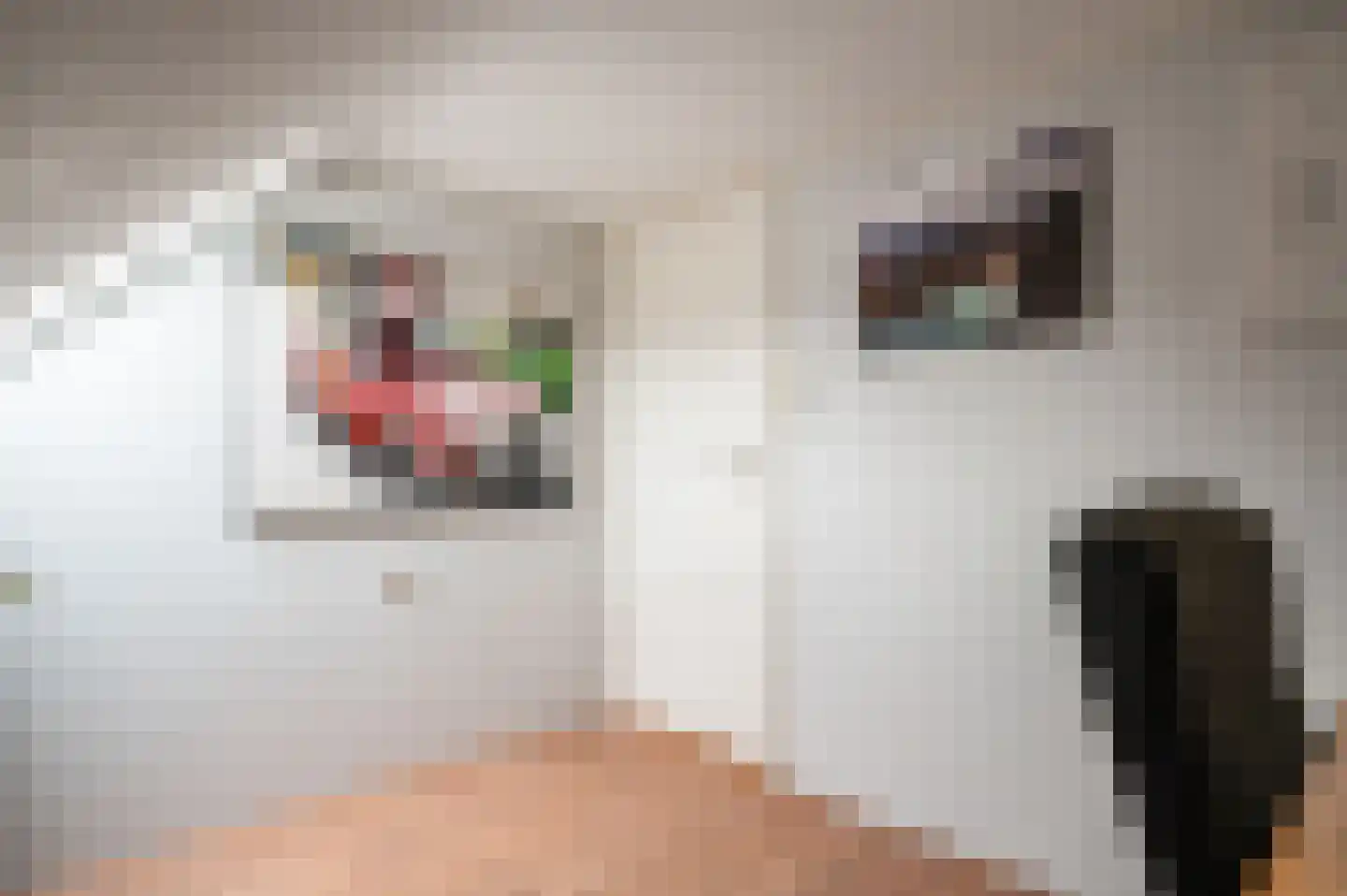 Westerstraat 40 Ruinen thumbnail 26