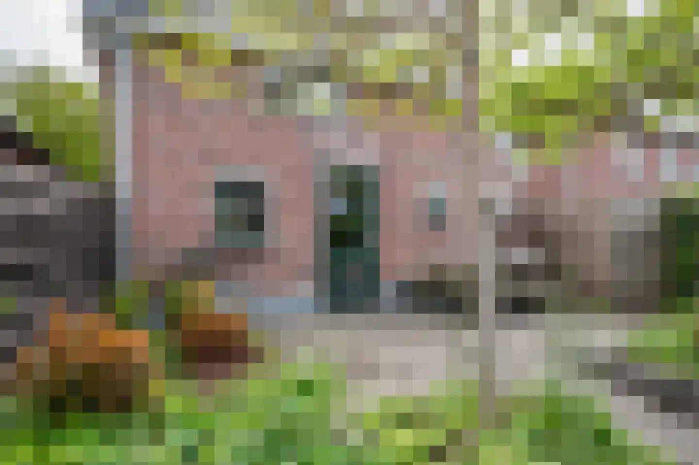 Westerstraat 40 Ruinen thumbnail 29