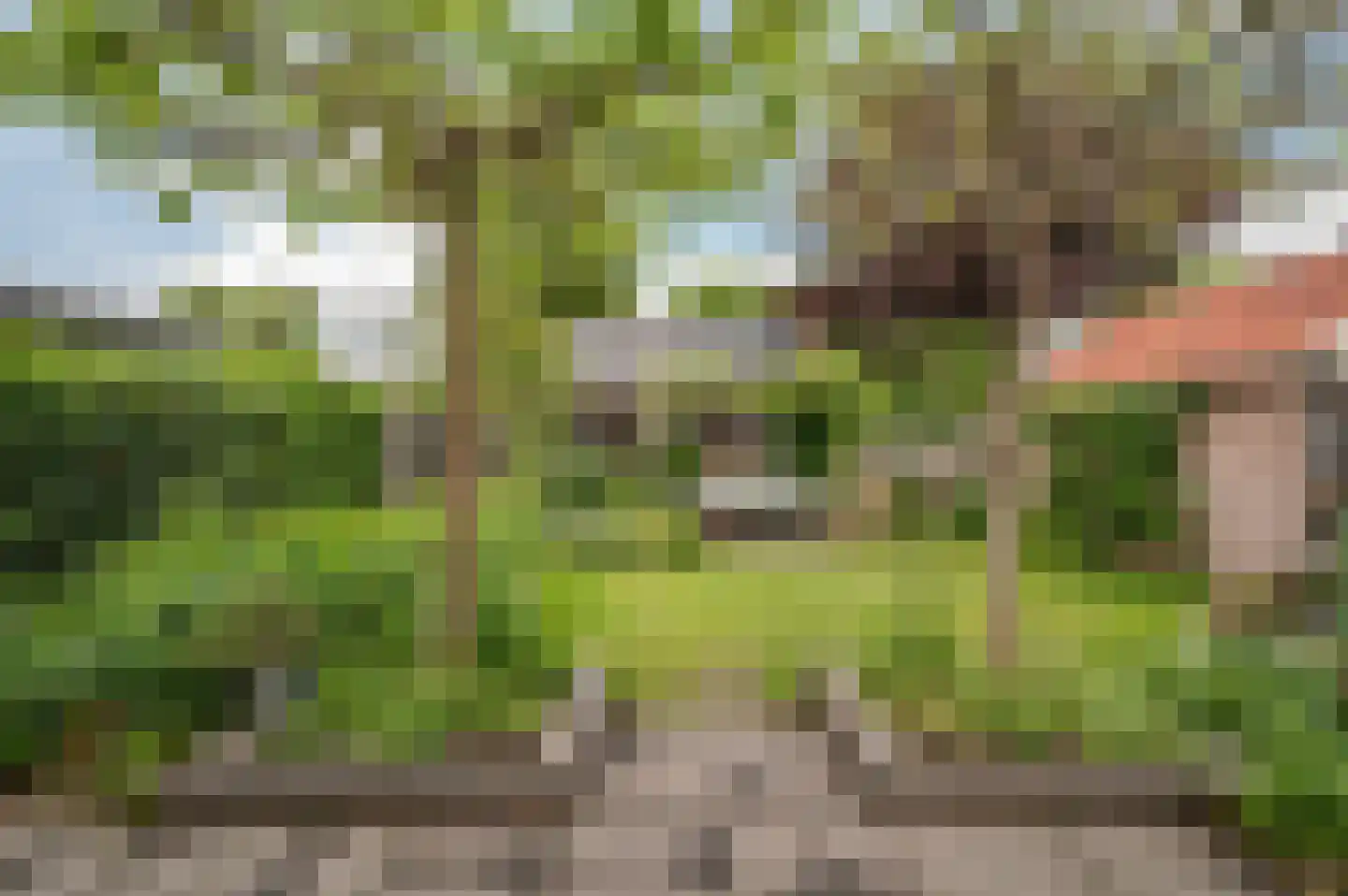 Westerstraat 40 Ruinen thumbnail 30