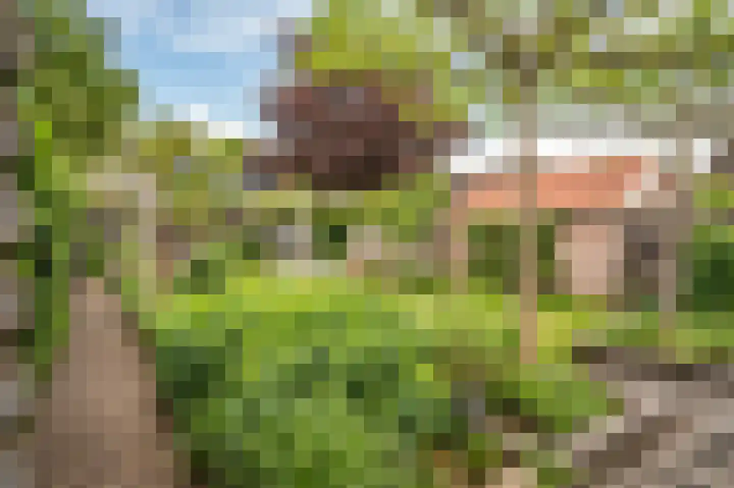 Westerstraat 40 Ruinen thumbnail 31
