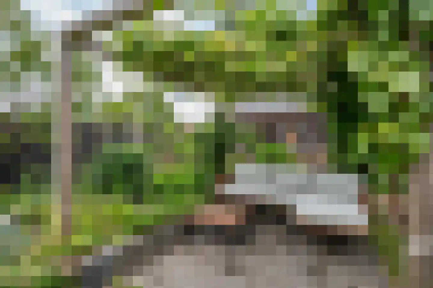 Westerstraat 40 Ruinen thumbnail 32