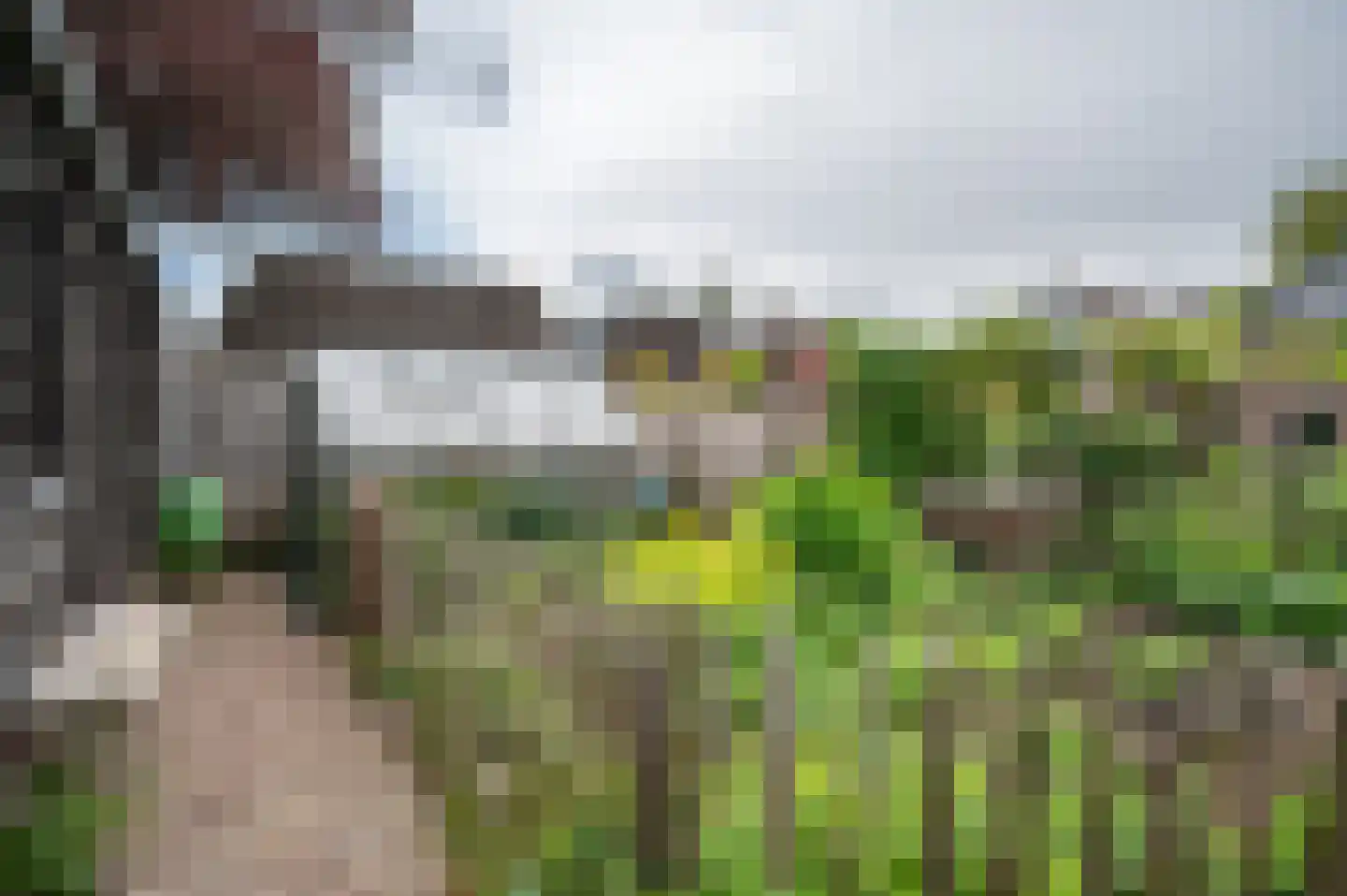 Westerstraat 40 Ruinen thumbnail 35