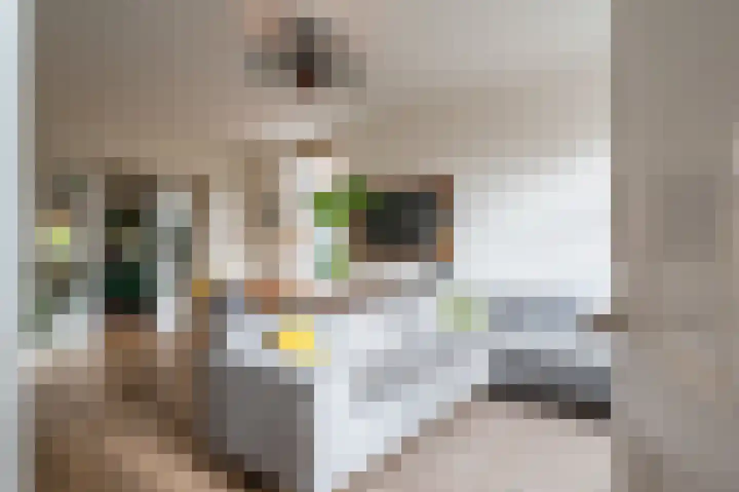 Westerstraat 40 Ruinen thumbnail 5