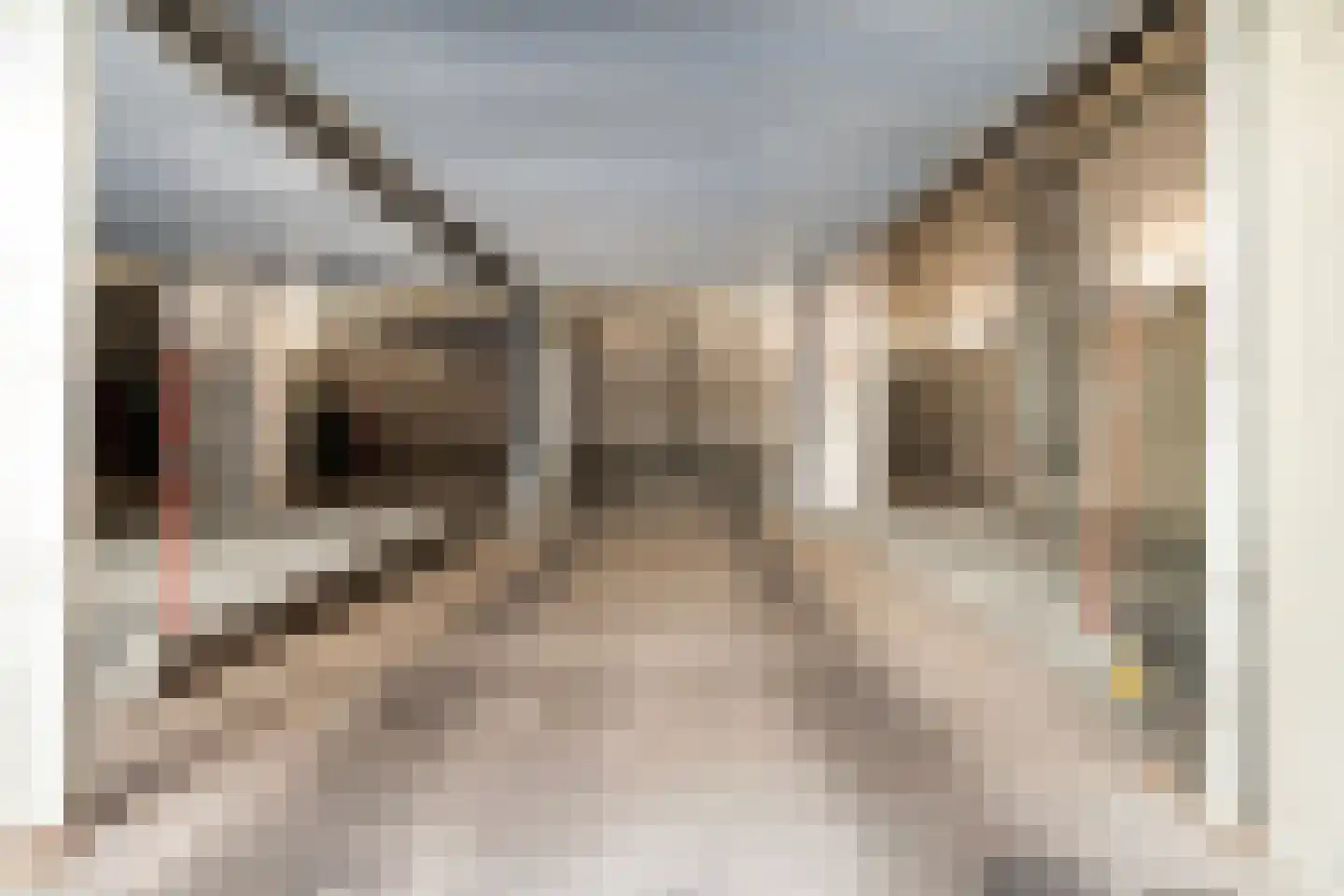 Westerstraat 41 Rotterdam thumbnail 8