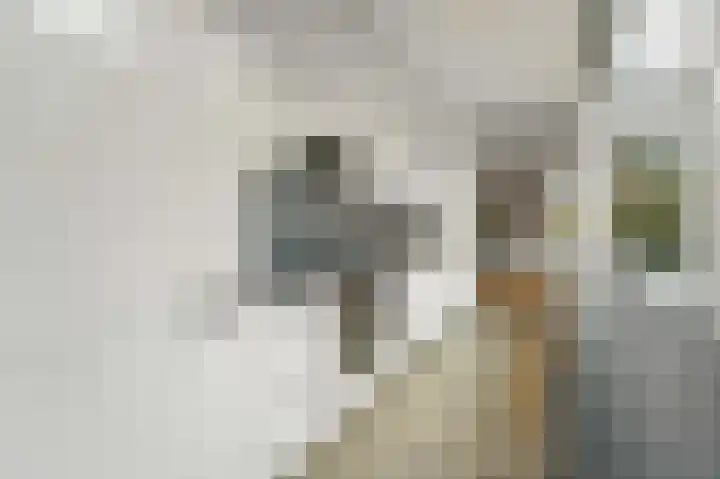 Westerstraat 43 Delft thumbnail 7