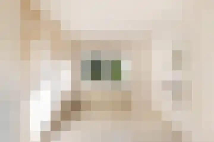 Westerstraat 44 Oudorp thumbnail 16