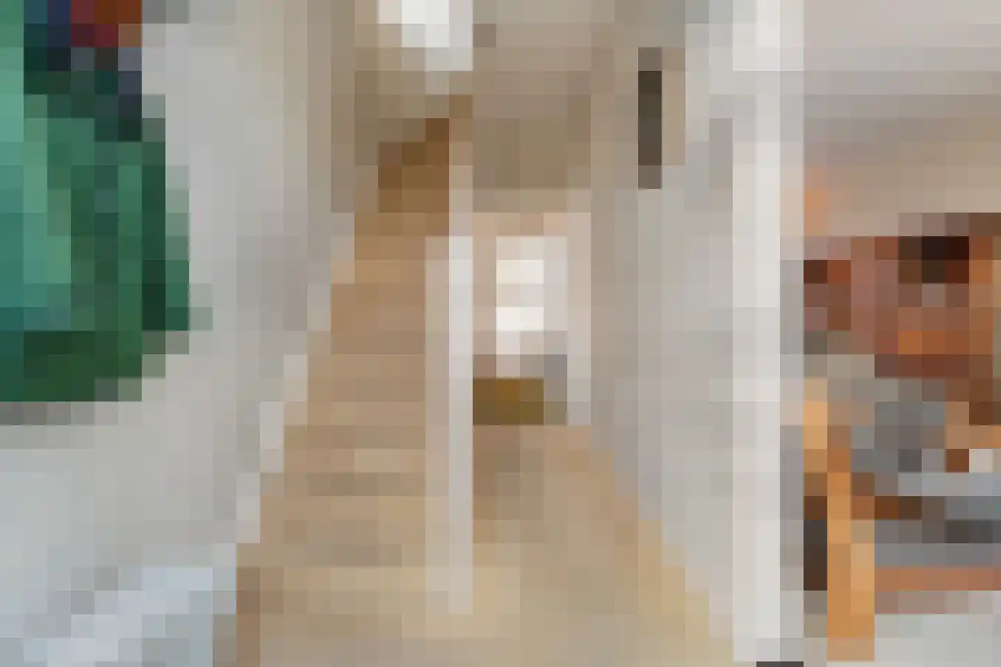 Westerstraat 44 Ruinen thumbnail 10