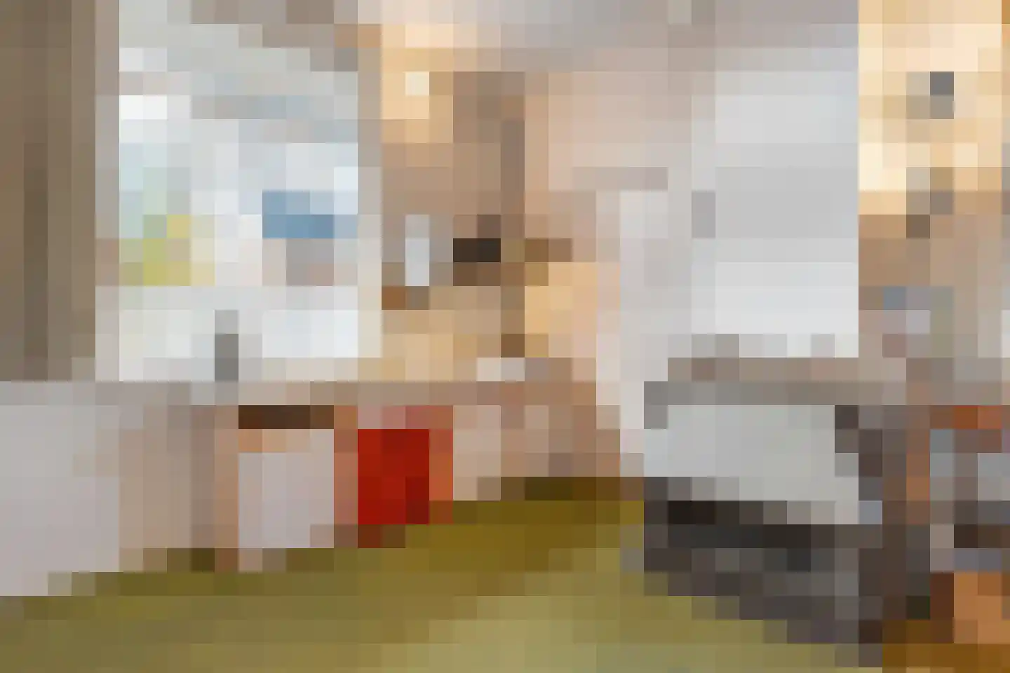Westerstraat 44 Ruinen thumbnail 11