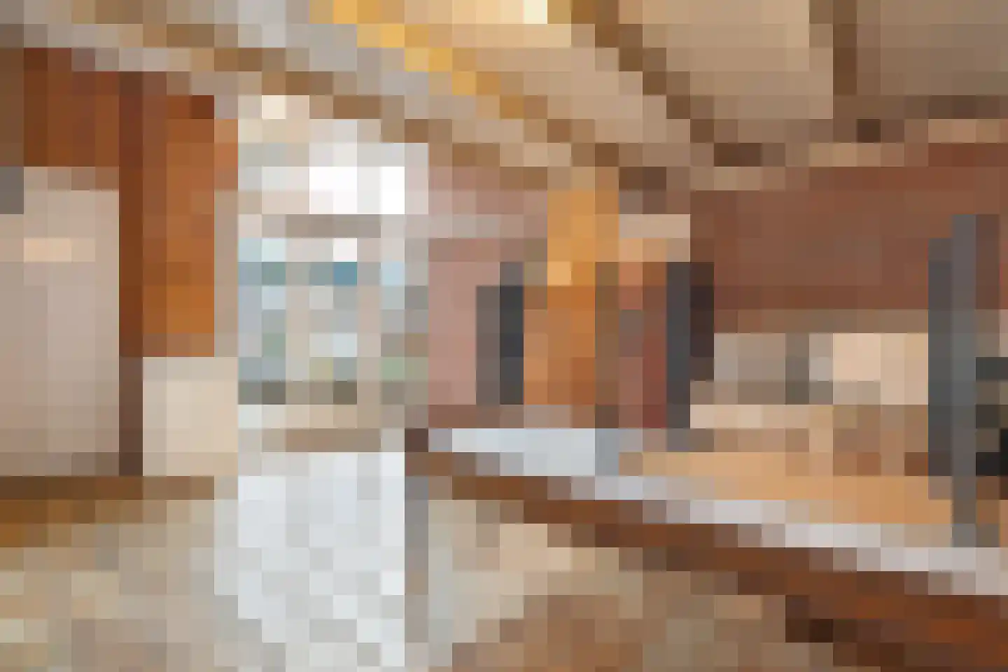 Westerstraat 44 Ruinen thumbnail 19