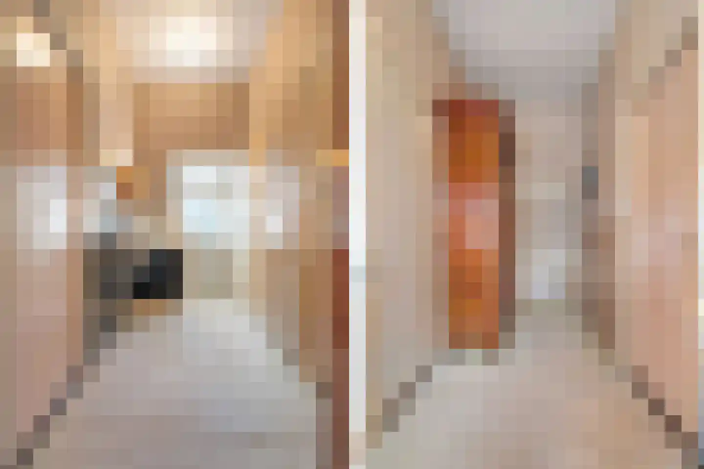Westerstraat 44 Ruinen thumbnail 21