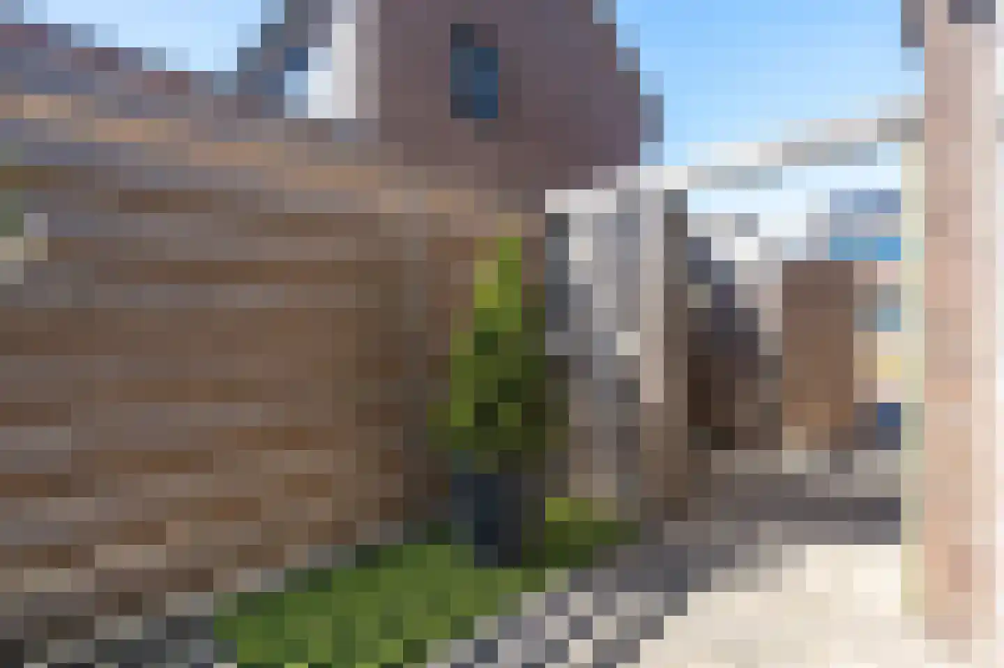 Westerstraat 5 Dalfsen thumbnail 40