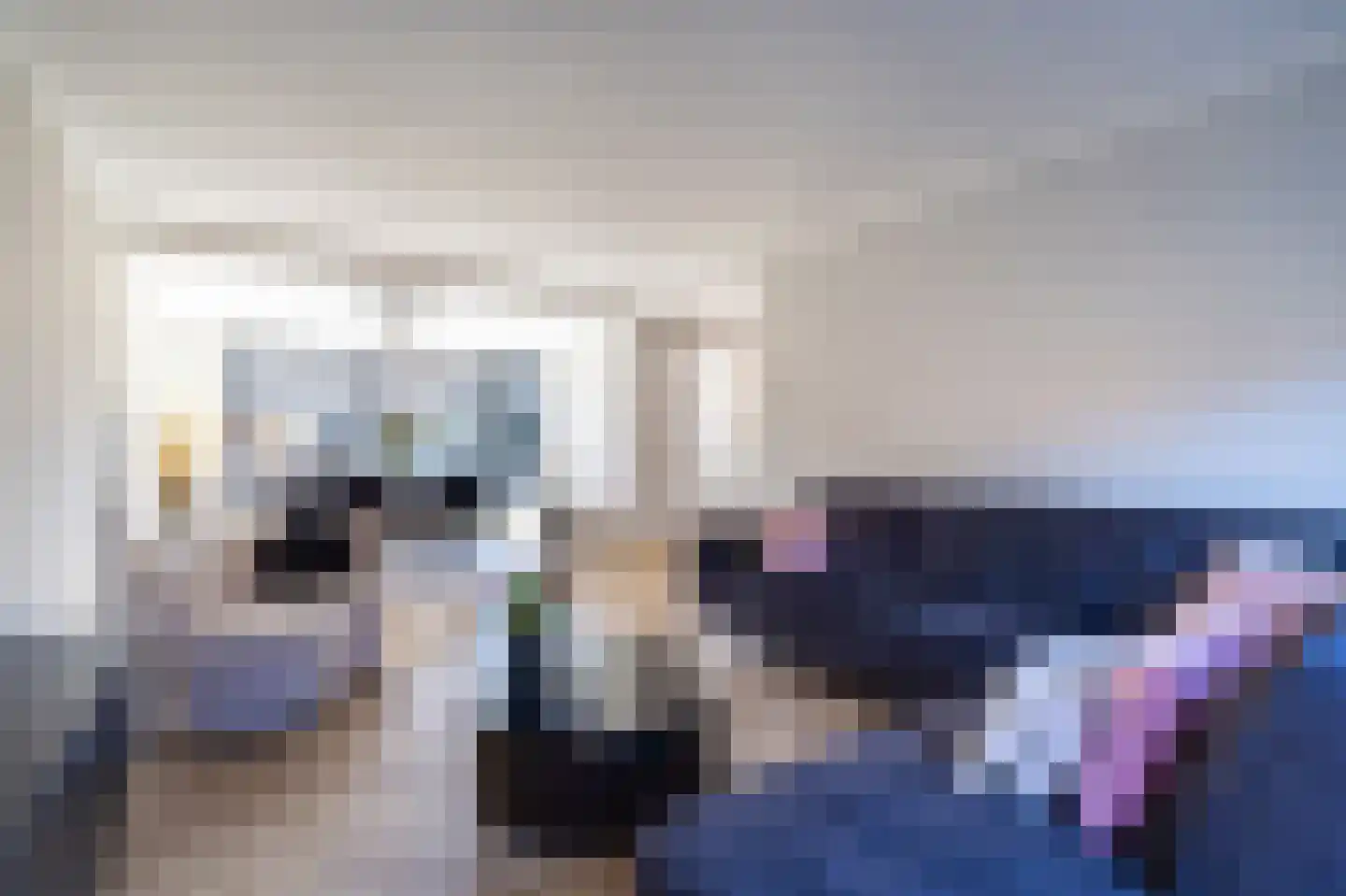 Westerstraat 5 Dalfsen thumbnail 6