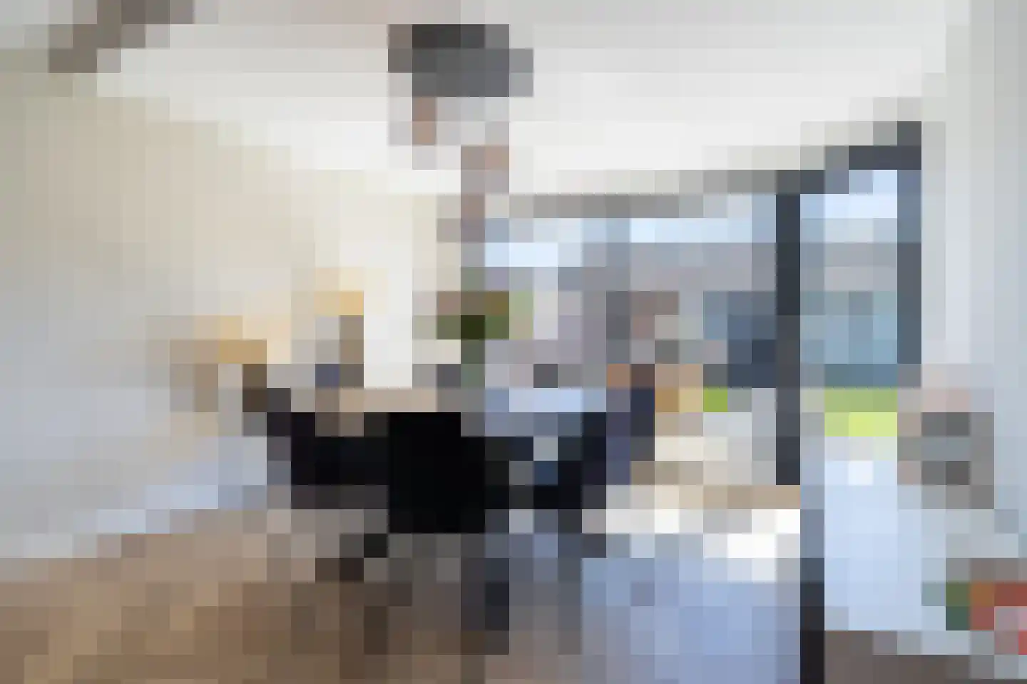 Westerstraat 5 Dalfsen thumbnail 8