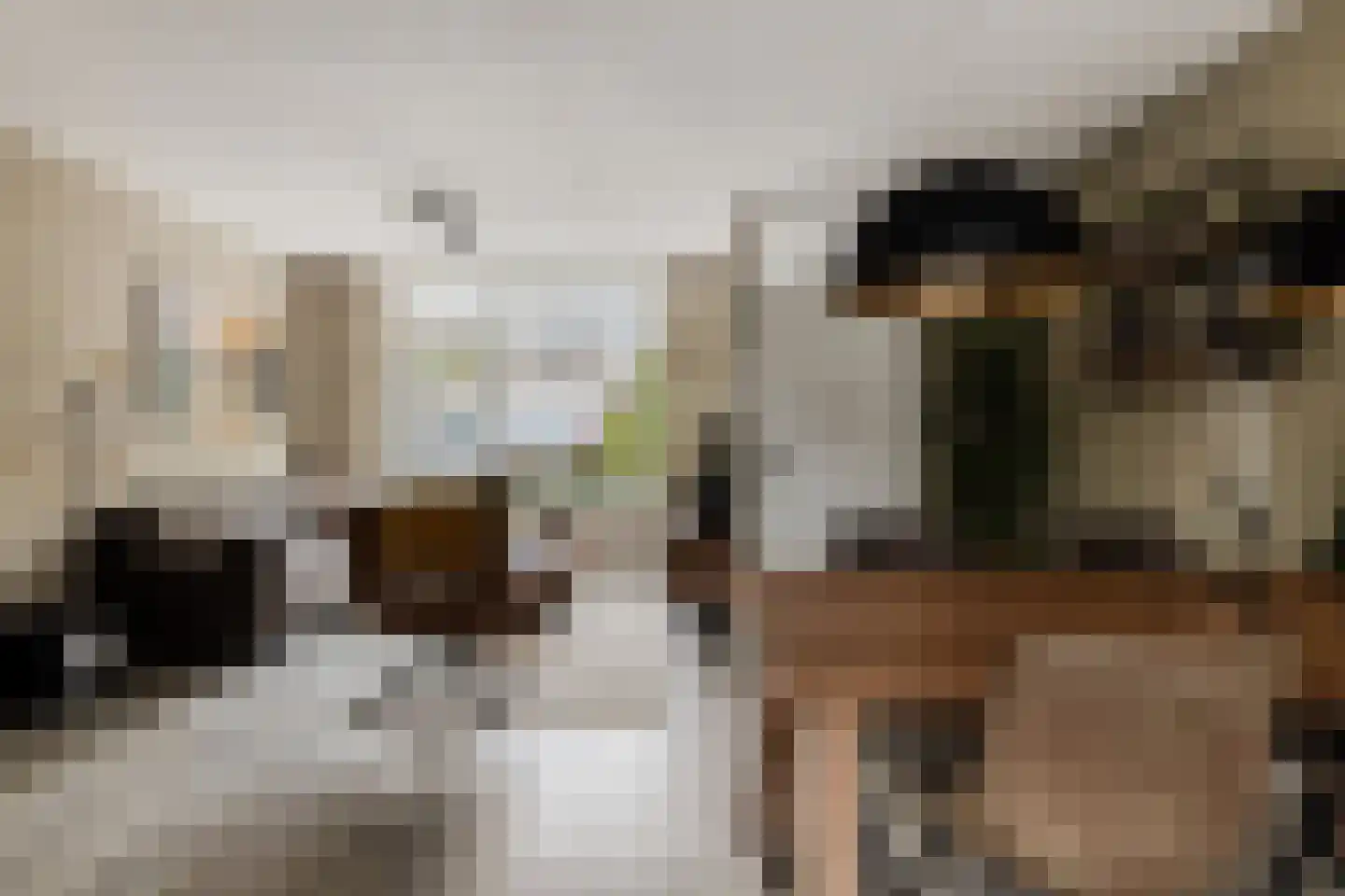 Westerstraat 5 Nieuwe-Tonge thumbnail 10