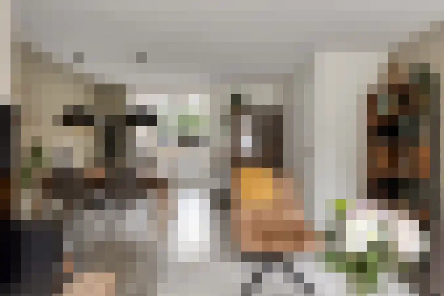 Westerstraat 5 Nieuwe-Tonge thumbnail 14