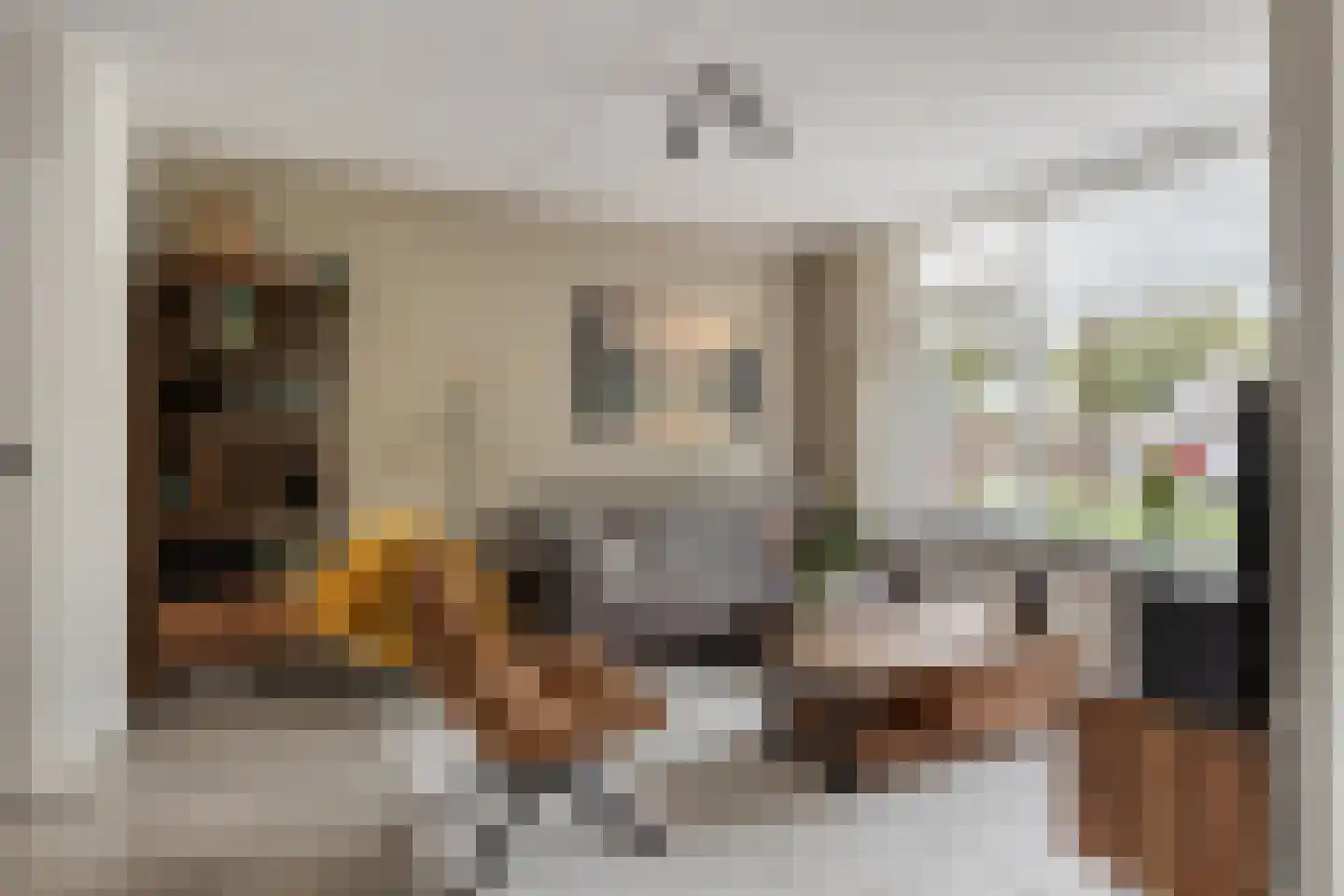 Westerstraat 5 Nieuwe-Tonge thumbnail 16
