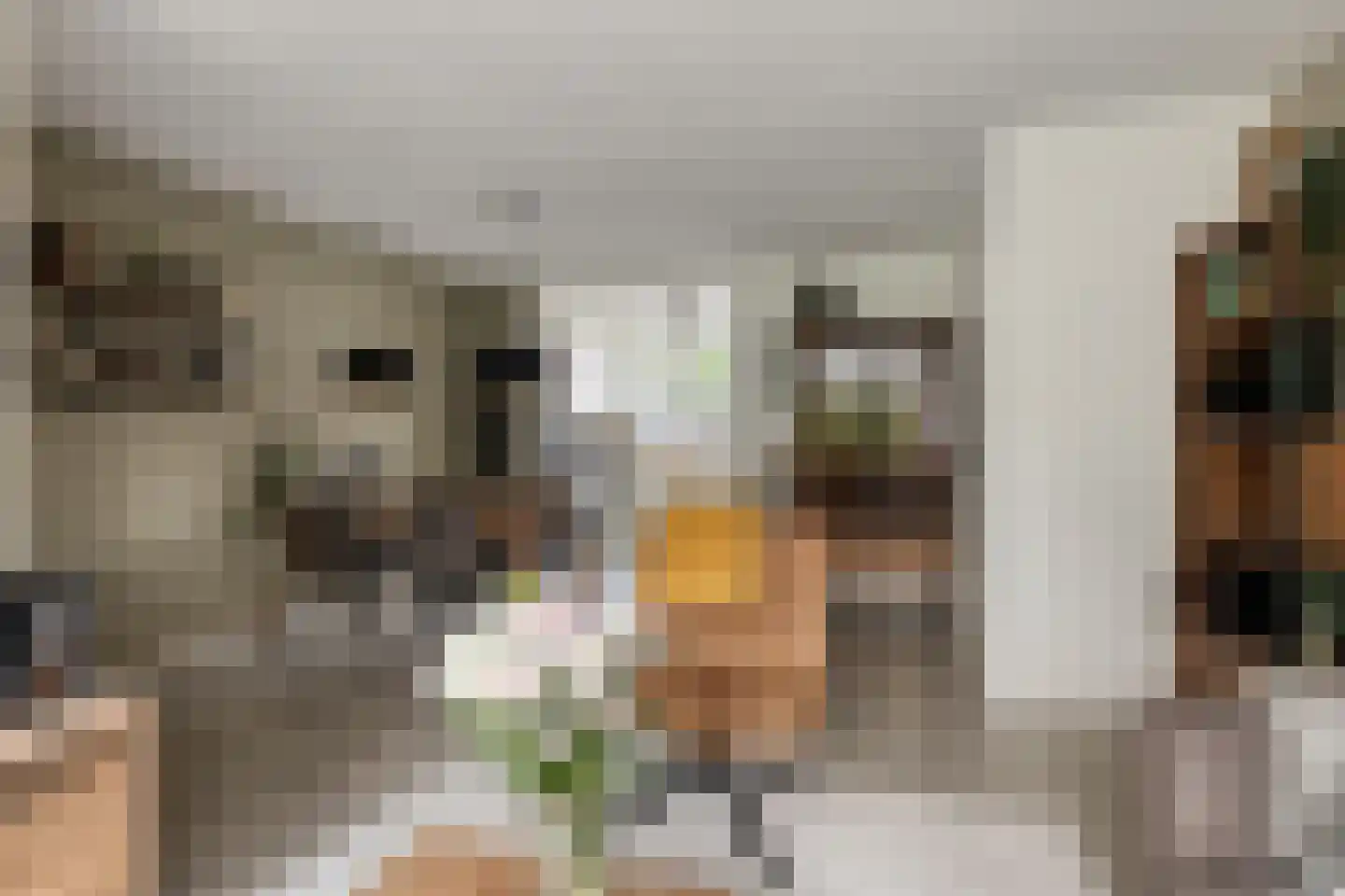 Westerstraat 5 Nieuwe-Tonge thumbnail 16