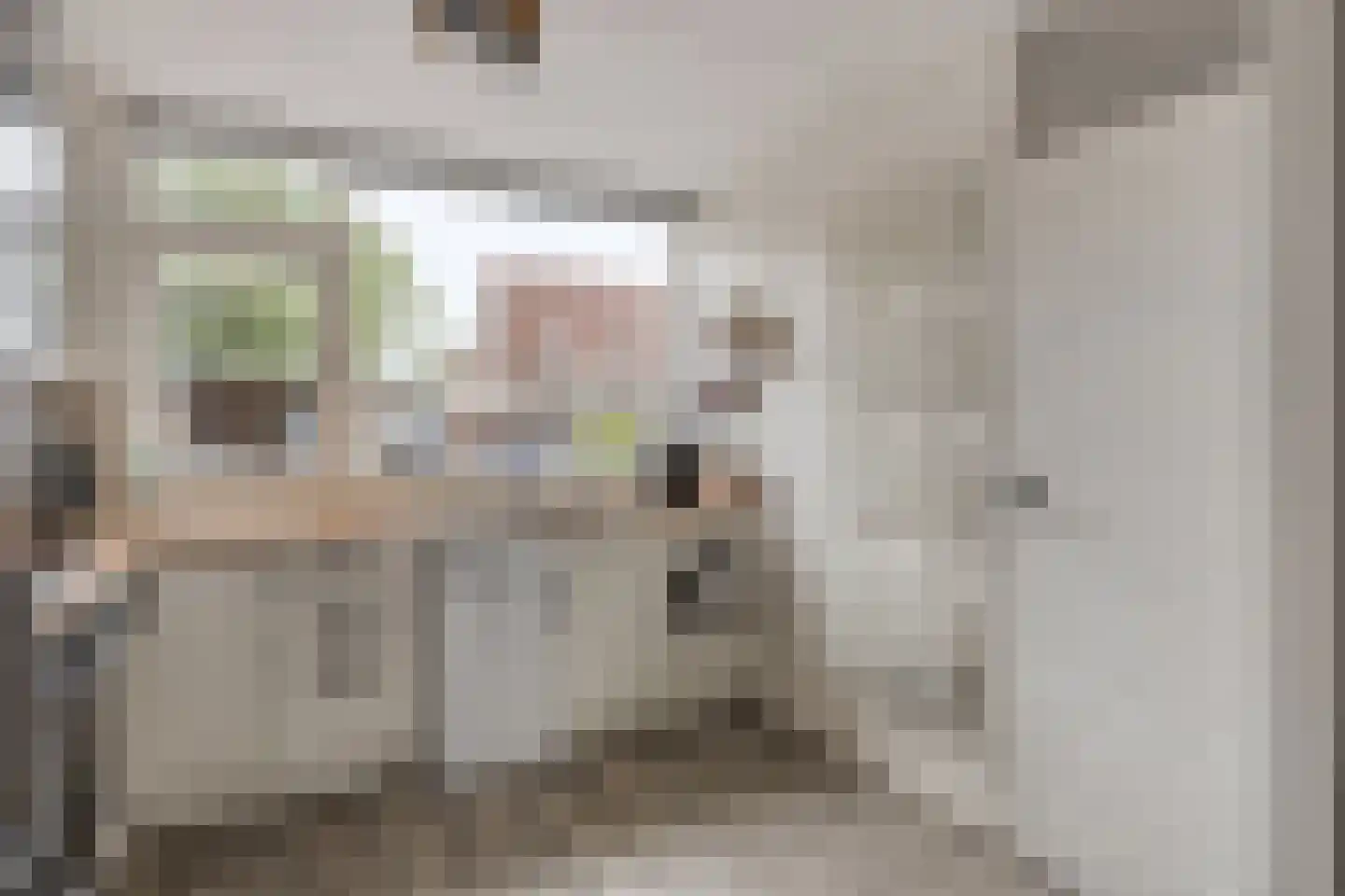 Westerstraat 5 Nieuwe-Tonge thumbnail 17