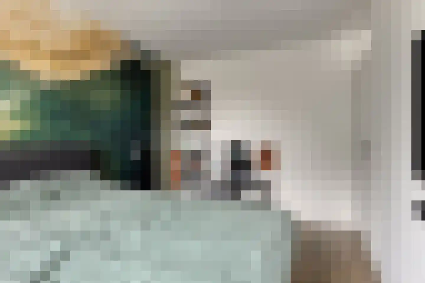 Westerstraat 5 Nieuwe-Tonge thumbnail 22