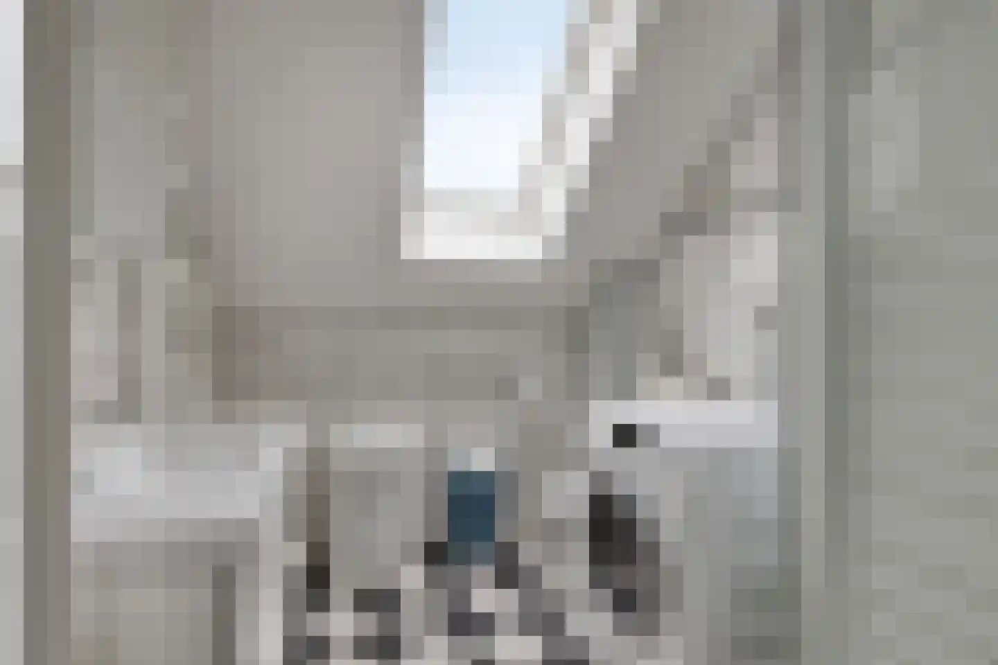 Westerstraat 5 Nieuwe-Tonge thumbnail 26