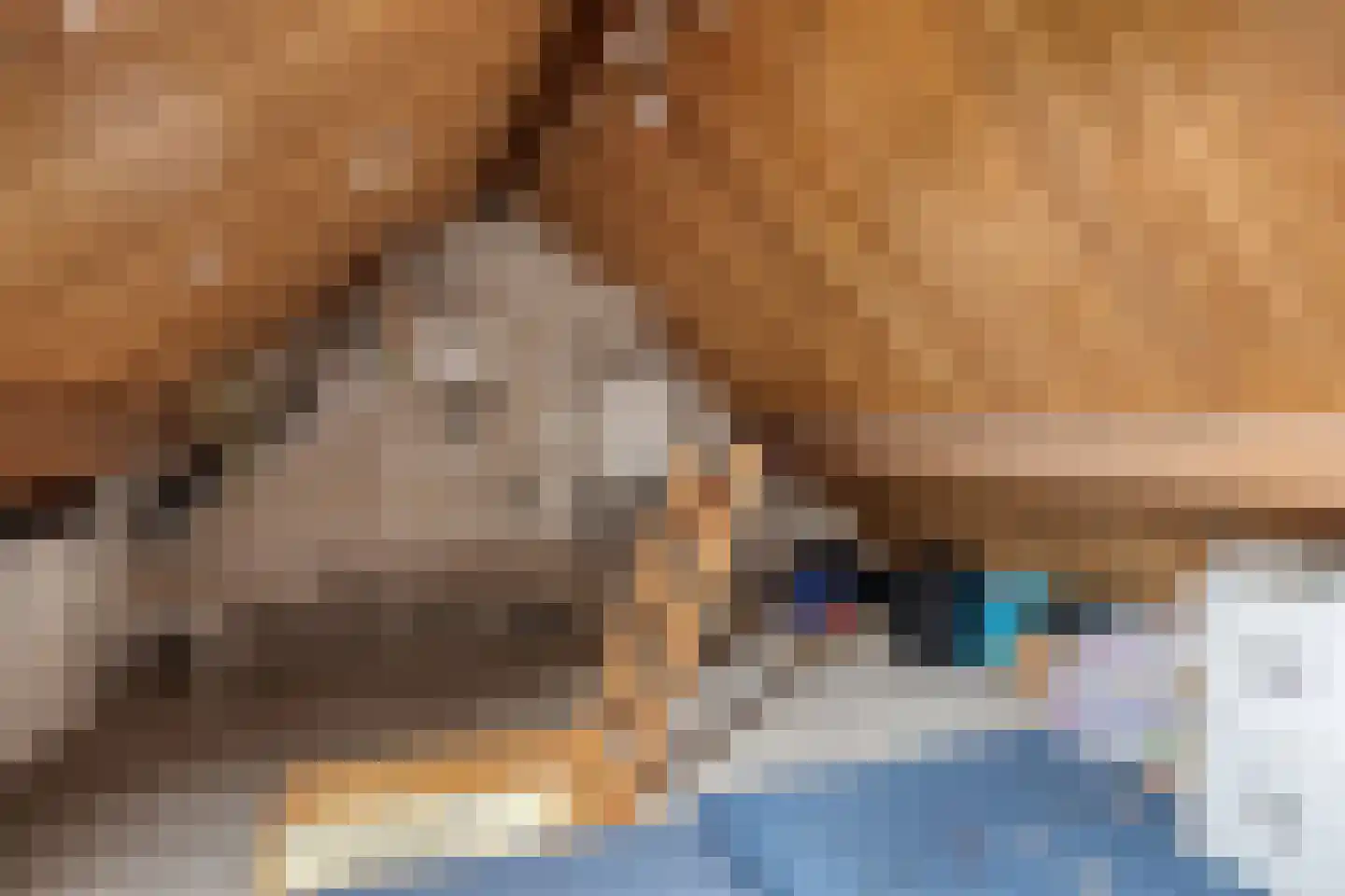 Westerstraat 5 Nieuwe-Tonge thumbnail 30