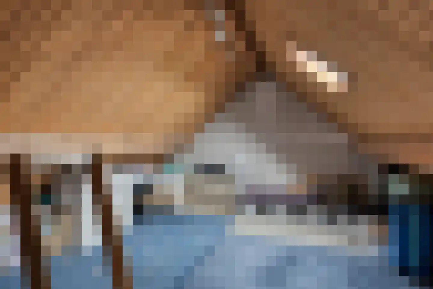 Westerstraat 5 Nieuwe-Tonge thumbnail 31