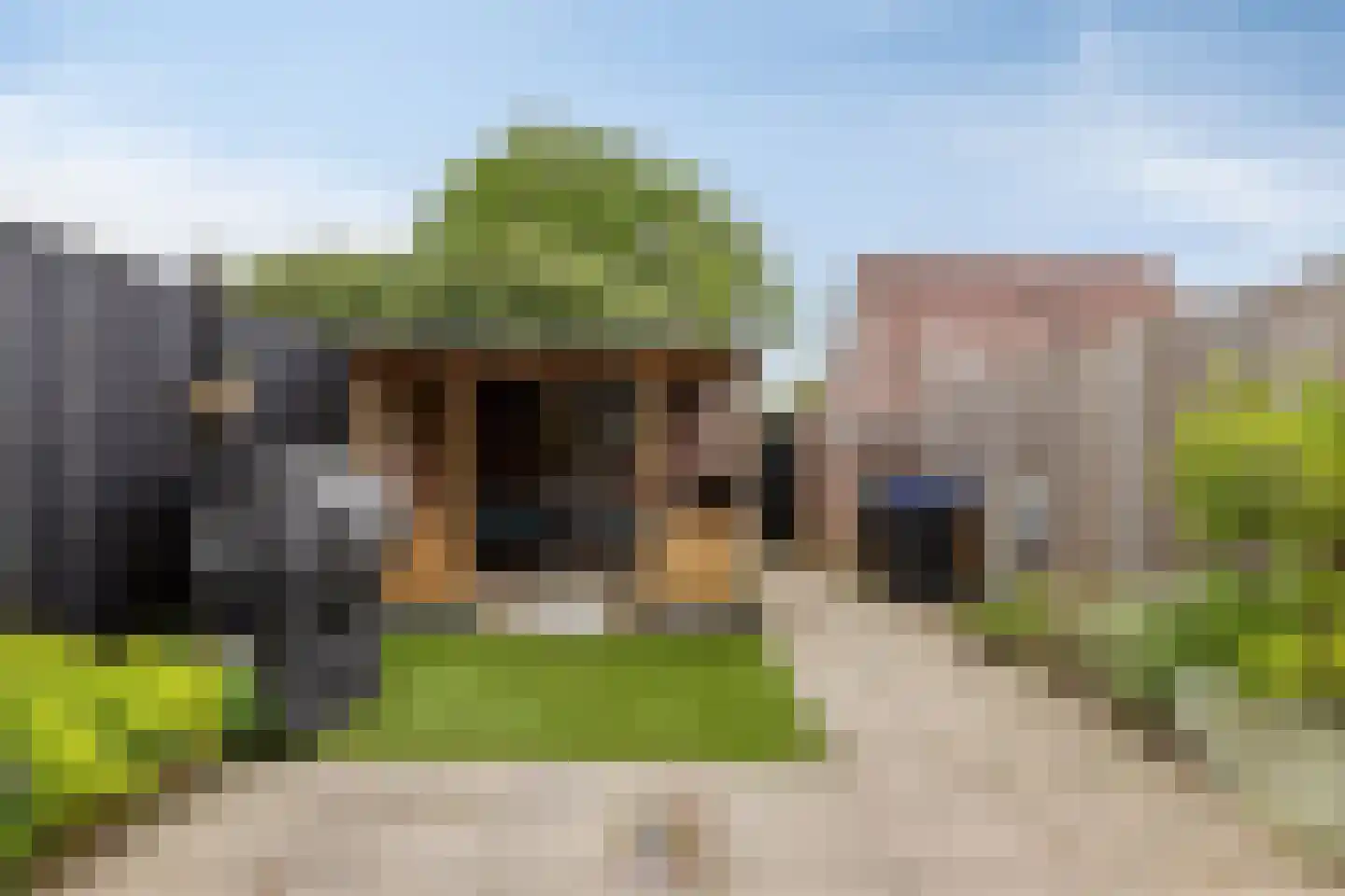 Westerstraat 5 Nieuwe-Tonge thumbnail 33