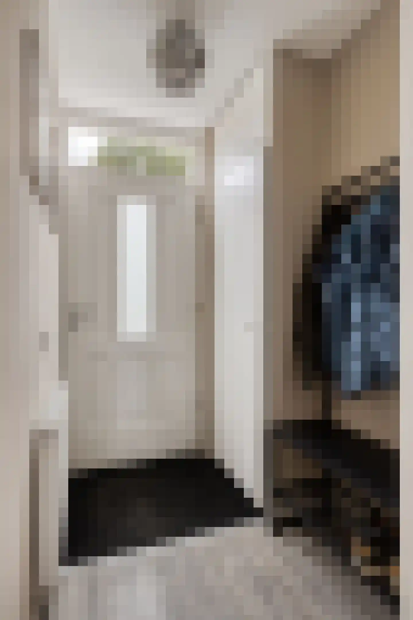 Westerstraat 5 Nieuwe-Tonge thumbnail 8
