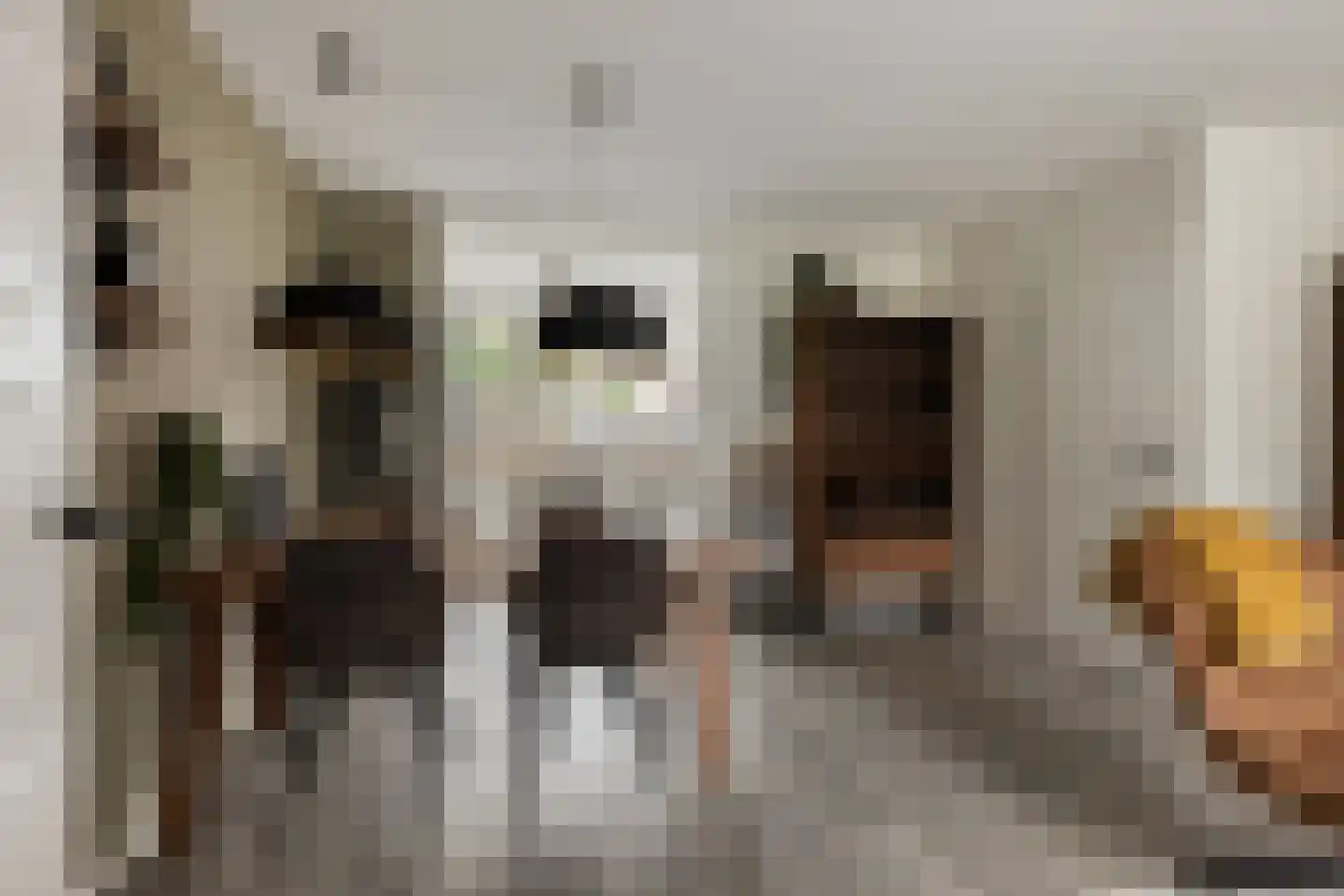 Westerstraat 5 Nieuwe-Tonge thumbnail 9
