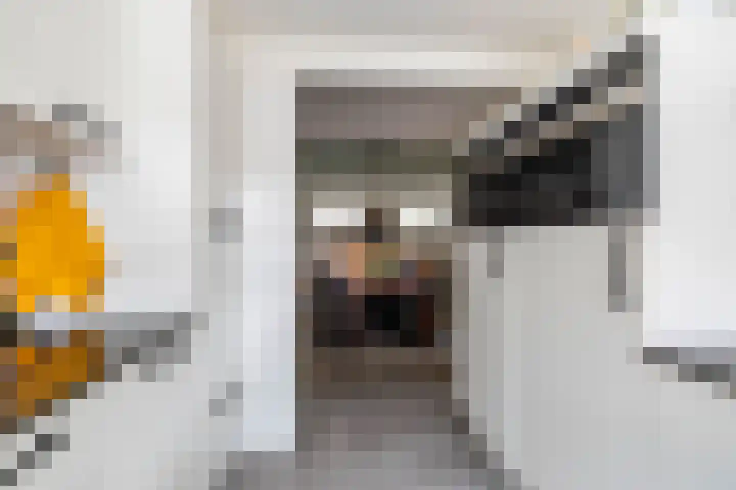 Westerstraat 5 Vries thumbnail 24