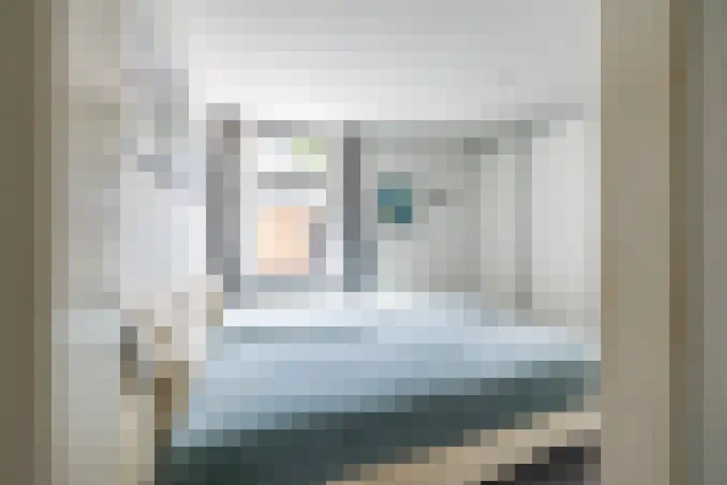 Westerstraat 5 Vries thumbnail 26