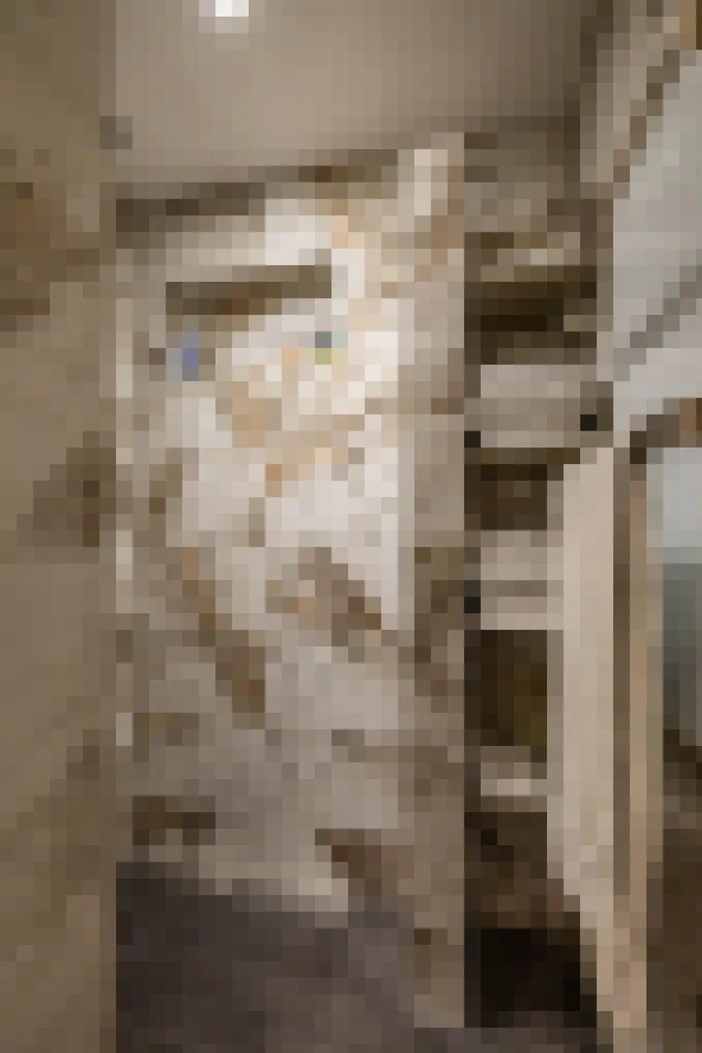 Westerstraat 5 Vries thumbnail 32
