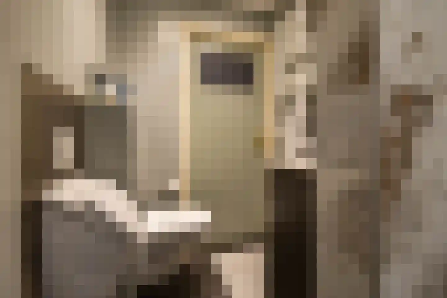 Westerstraat 5 Vries thumbnail 33