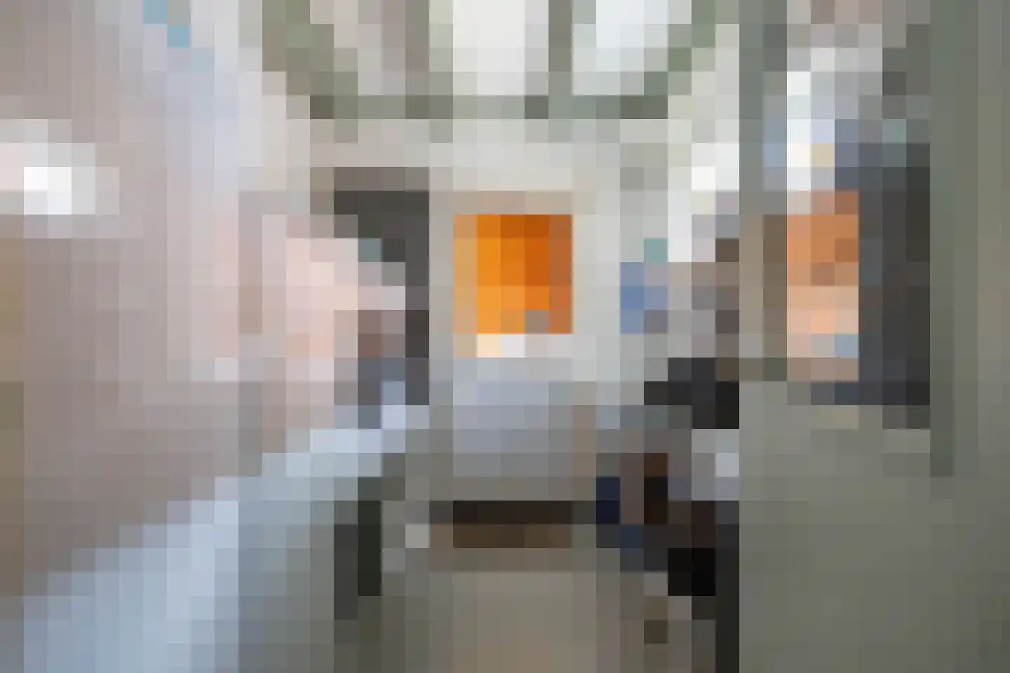 Westerstraat 5 Vries thumbnail 34